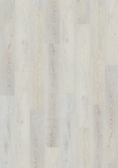 Sea Oak white