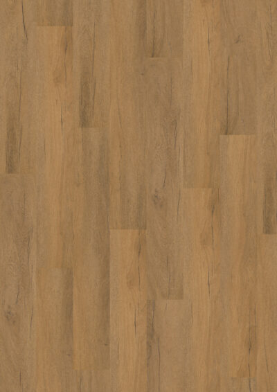 Tyrol Oak Honey