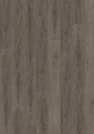 Cerused Oak Dark Brown