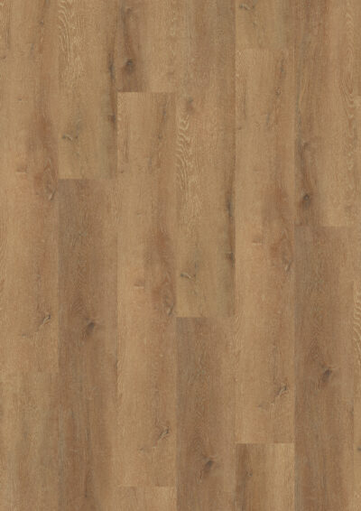 Prestige Oak Honey