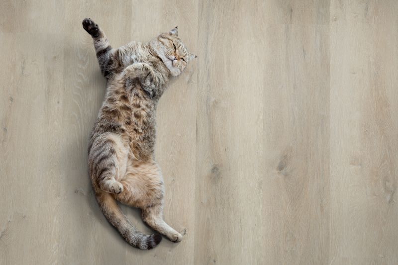 XL planks