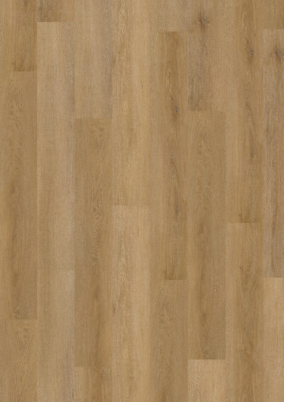 Fine Oak Amber