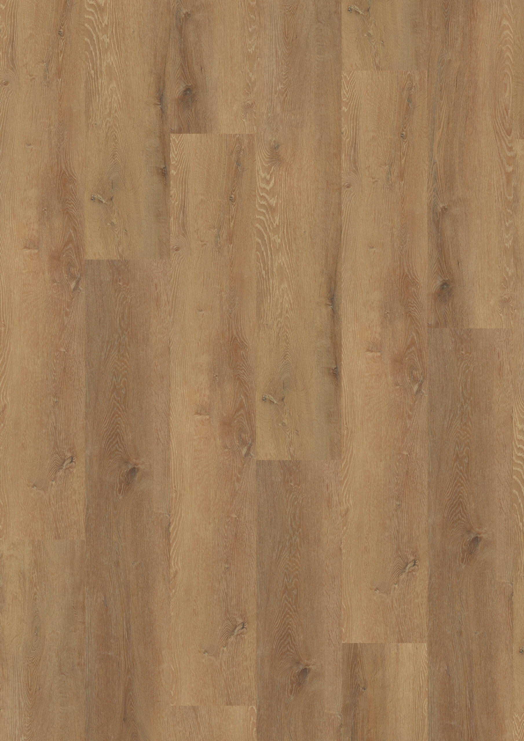 Prestige Oak Honey