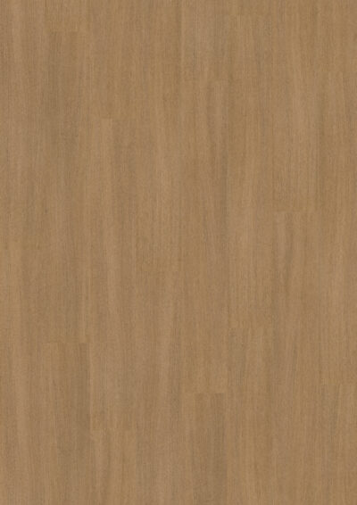 Linear Wood Amber