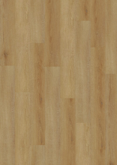 Delicate Oak Amber