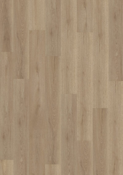 Nordic Oak Greige