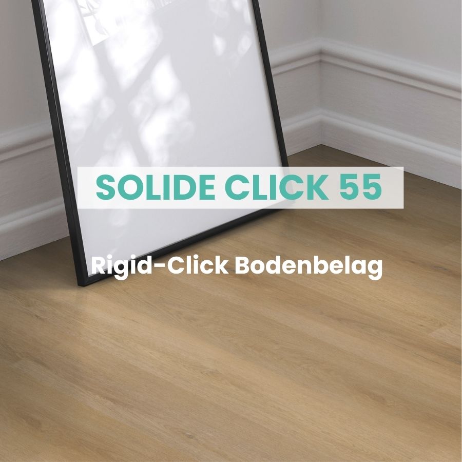 DE SOLIDE CLICK 55