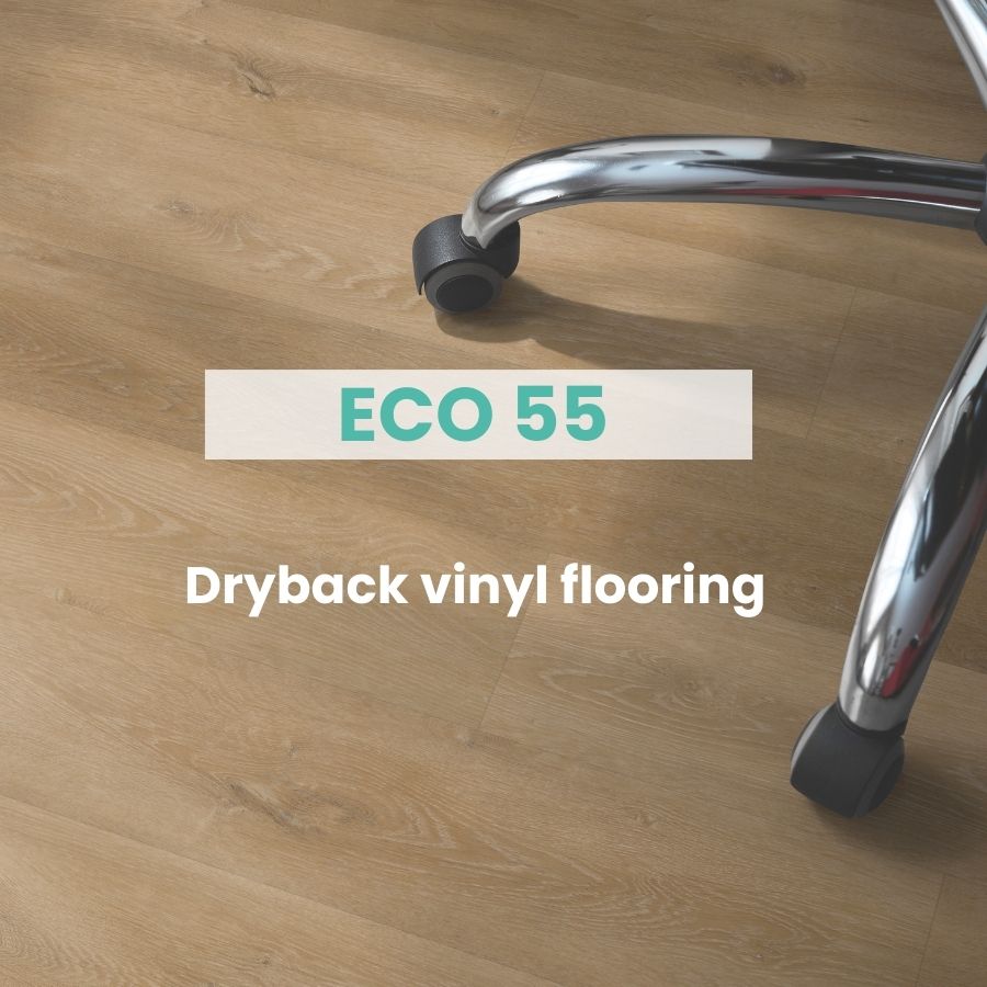ECO 55