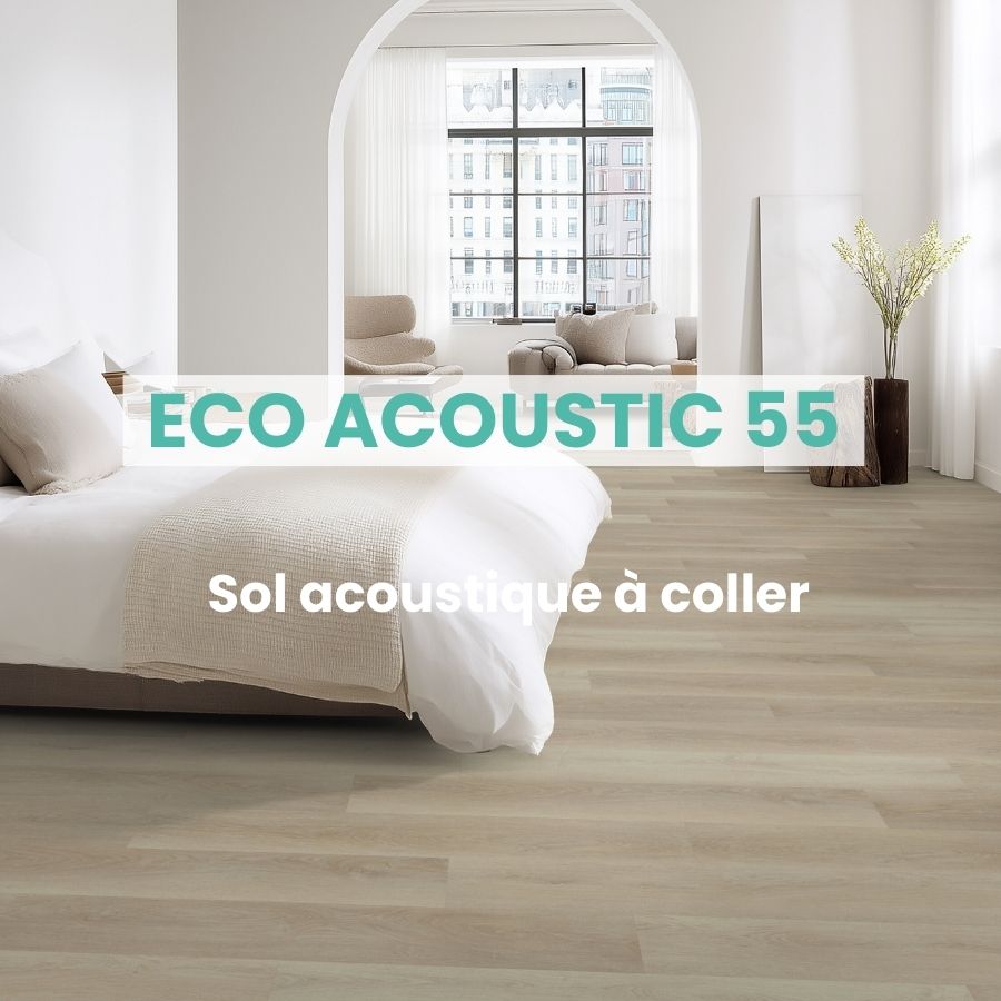 FR ECO Acoustic 55