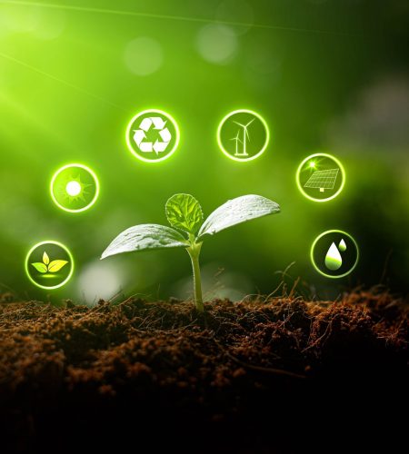 Environmental,Protection,,Renewable,,Sustainable,Energy,Sources.,Plant,Growing,In,The