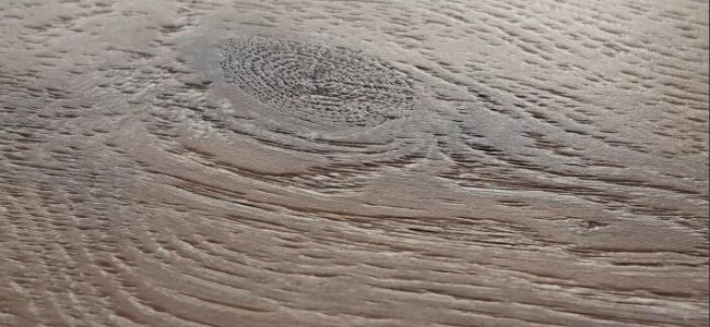 WORKSHOP-55-Concept-02