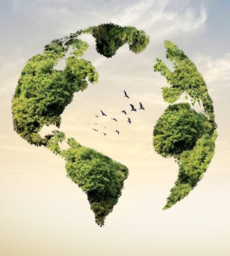 World,Environment,Day,2024,Concept,-,Land,Restoration,,Desertification,And