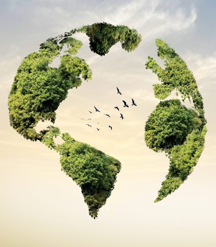 World,Environment,Day,2024,Concept,-,Land,Restoration,,Desertification,And